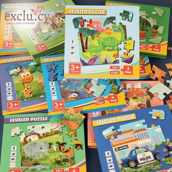 Magnetic Puzzles