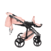HANDCRAFT APRICOT - Image 4
